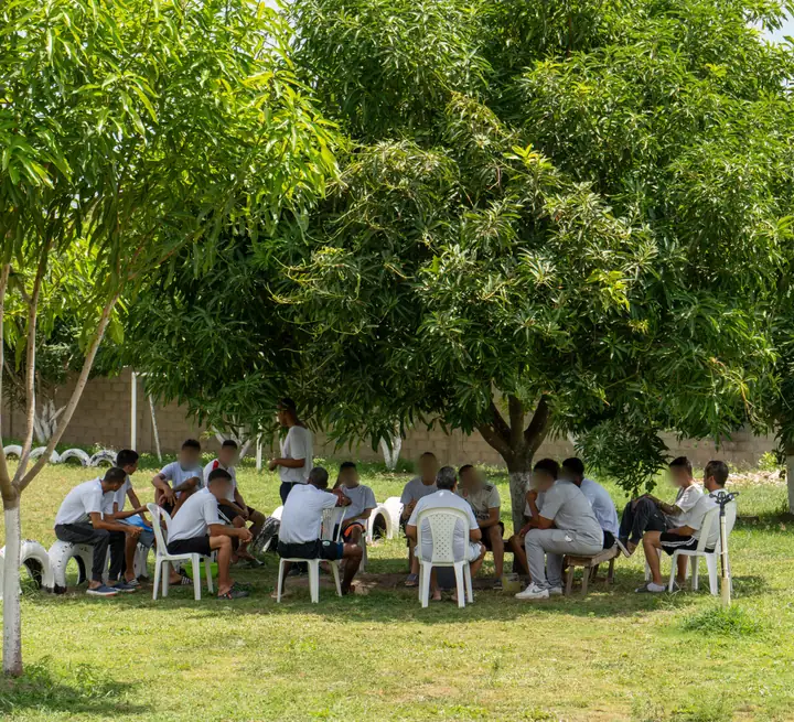 Momento de descanso bajo el árbol